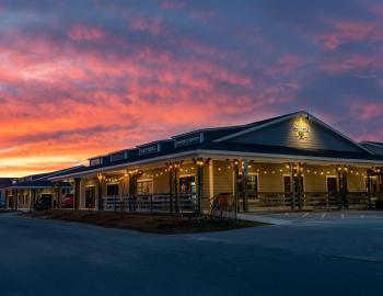 Salty Turtle Beer Company